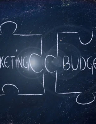 How To Optimize Your Organization’s Digital Marketing Budget?