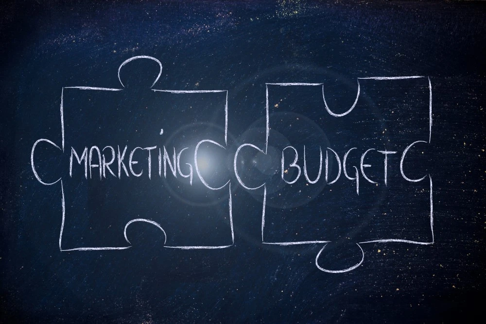 How To Optimize Your Organization’s Digital Marketing Budget?